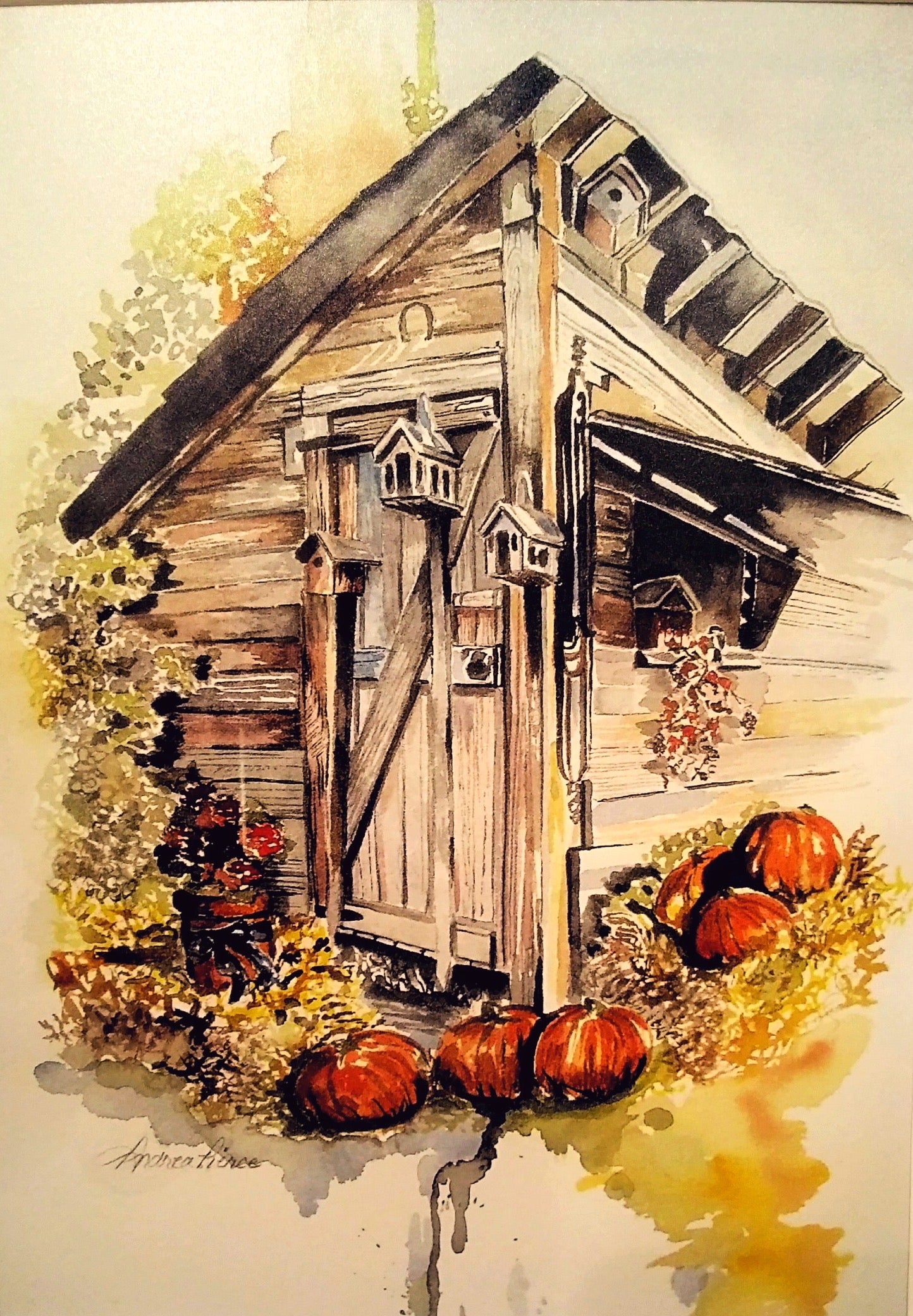 Pumpkins Shed